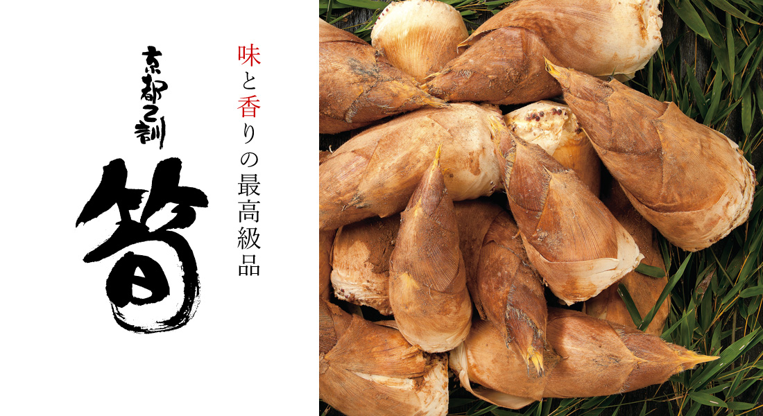 筍